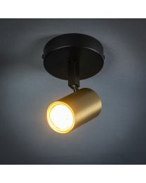 Spot Round Black Matte Brass